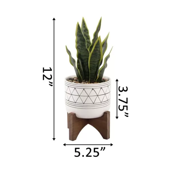 Flora Bunda 12 in. Snake Plant in Black GEO Paint White Ceramic Pot on Wood Stand