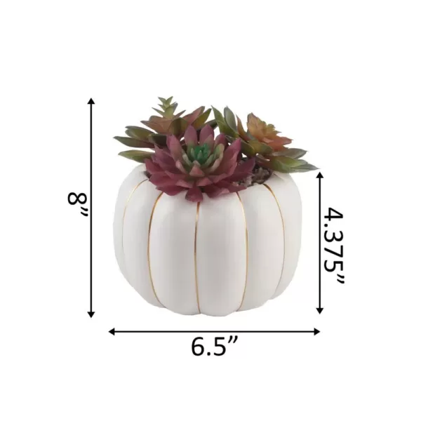 Flora Bunda 8 in. H Fall Harvest Artificial Plant Faux Succulents Garden in 6.26 in. Cream Ceramic Pumpkin Pot with Gold Line