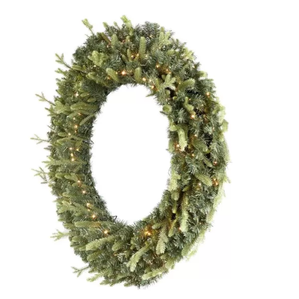 Home Accents Holiday 48 in. Jackson Prelit Led Artificial Wreath with 200-Low Voltage LED Micro Dot Lights