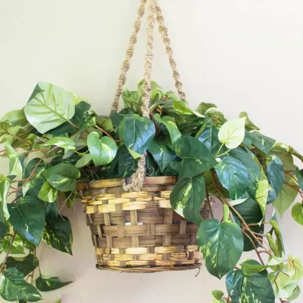 Nearly Natural Pothos Hanging Basket Silk Plant