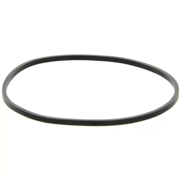 Pentek 151254 WBC-OR Square-Cut O-Ring for Big Clear Housings