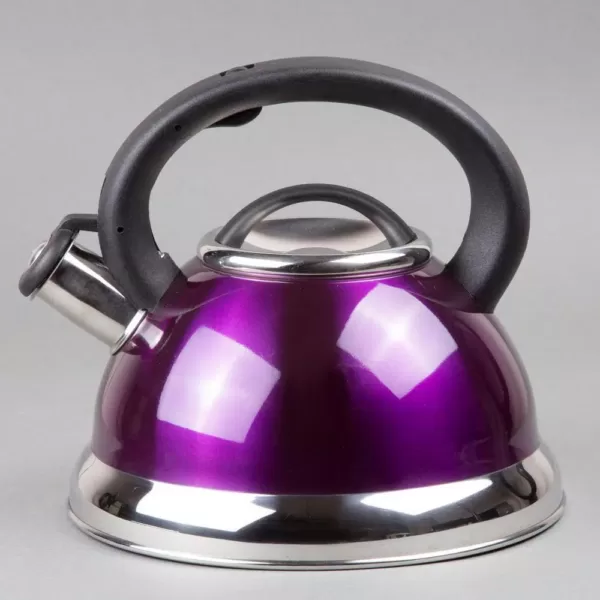 Creative Home Alexa 12-Cup Stovetop Tea Kettle in Purple