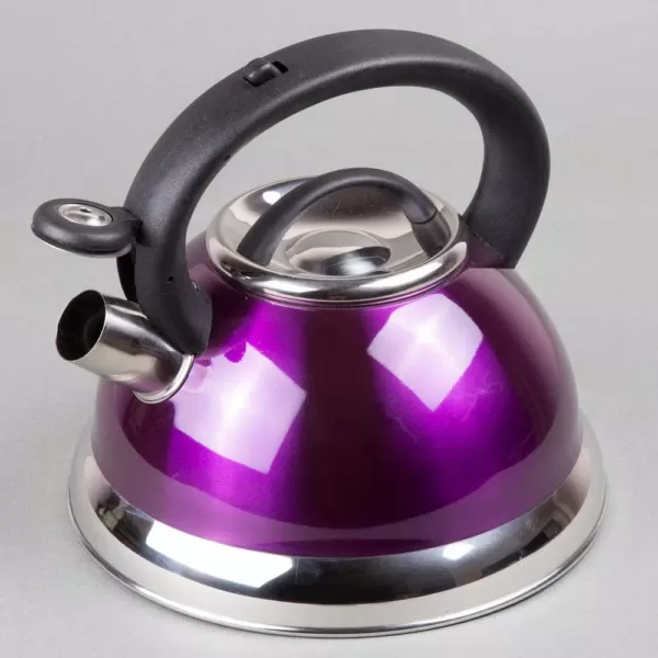 Creative Home Alexa 12-Cup Stovetop Tea Kettle in Purple